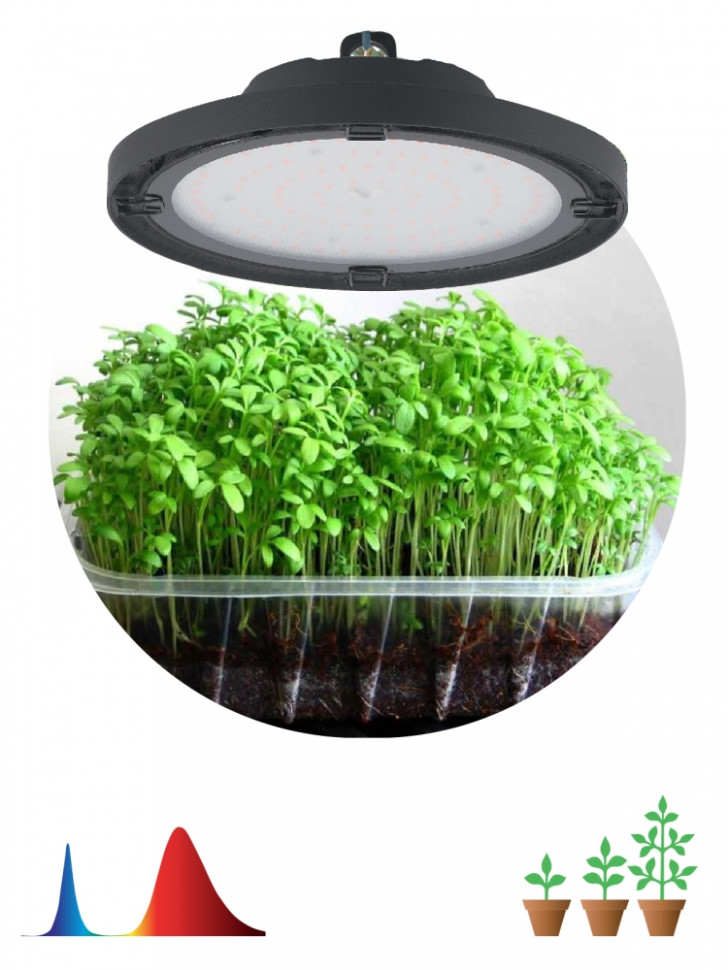 Прожектор светодиодный для растений ЭРА 50W 1310K Fito-50W-RB-Led-Ufo Б0053280